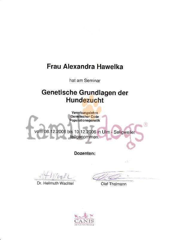 Zertifikate Alexandra Hawelka